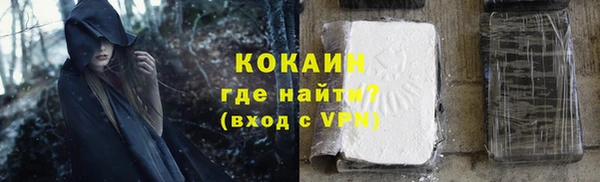 гидра Новодвинск