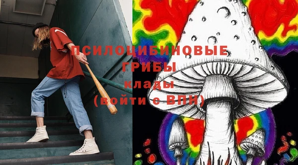 гидра Болохово