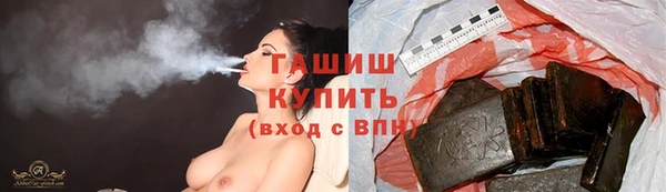 гидра Новодвинск