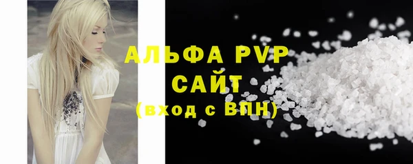 гидра Новодвинск