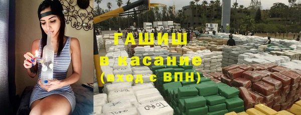 гидра Новодвинск