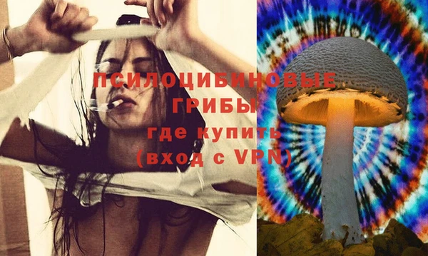 гашик Болотное