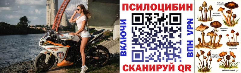 Галлюциногенные грибы Psilocybine cubensis  мега рабочий сайт  Малаховка 
